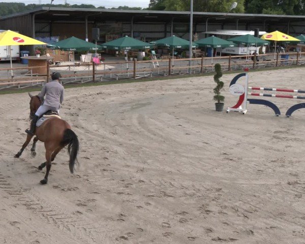 Reitturnier Kirchhellen/Stall Dieckmann 2025