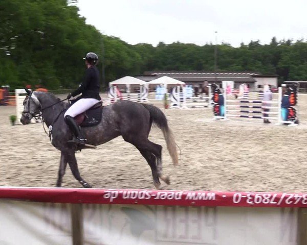 Reitturnier Kropp 2025