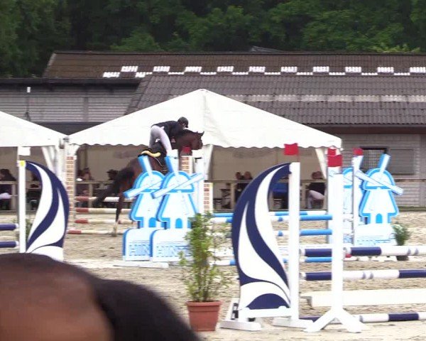 Reitturnier Kropp 2025