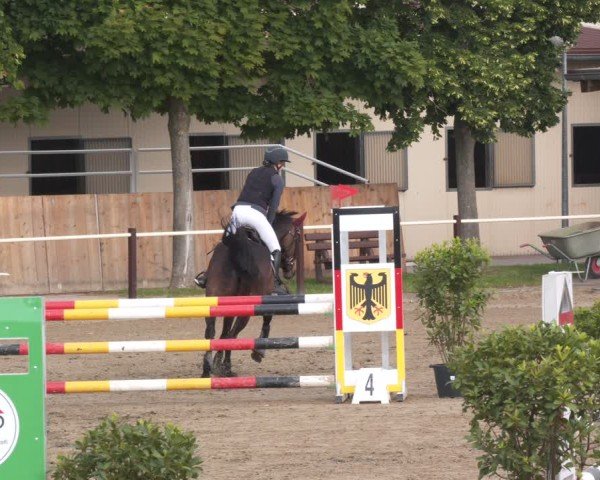 Reitturnier Kitzscher / Reitanlage Heuter 2025
