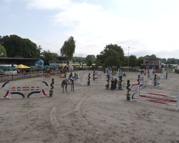Reitturnier Kirchhellen/Stall Dieckmann 2025