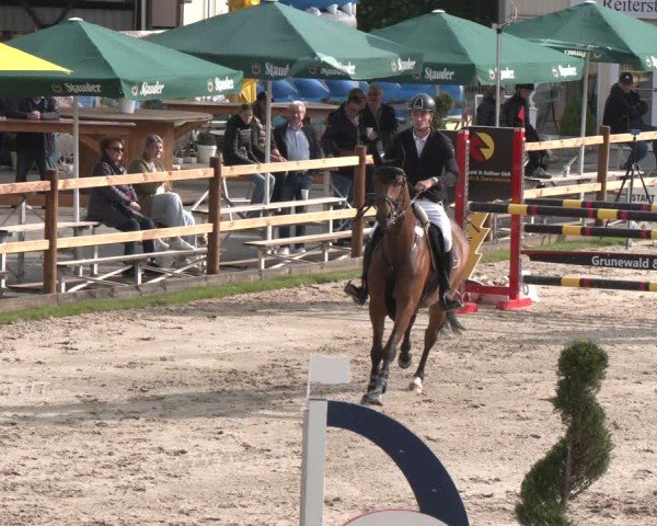 Reitturnier Kirchhellen/Stall Dieckmann 2025