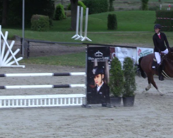 Reitturnier Hamm-Rhynern 2025