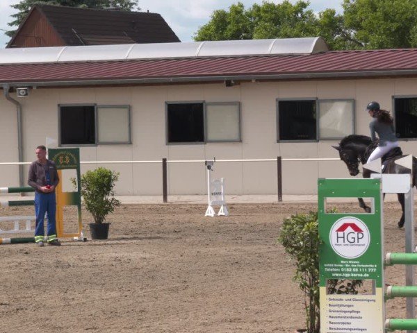 Reitturnier Kitzscher / Reitanlage Heuter 2025
