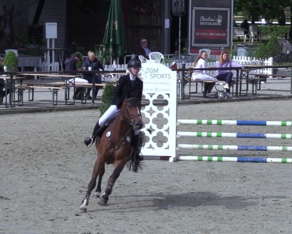 Reitturnier Hamm-Rhynern 2025