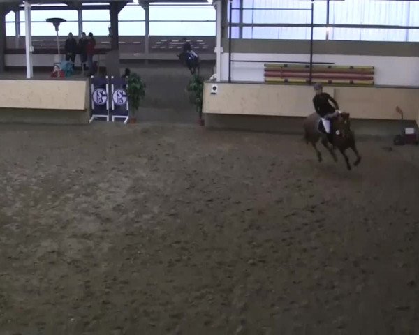 Alt Marl - Hallen-Late-Entry 2014