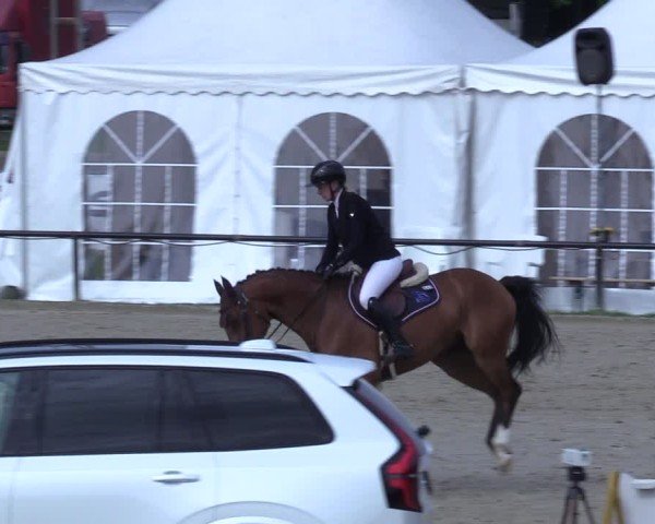 Reitturnier Hamm-Rhynern 2025
