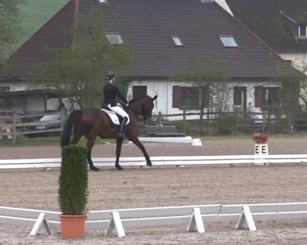 Balve-Wocklum Regio 2014