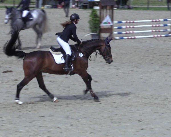 Reitturnier Hamm-Rhynern 2025