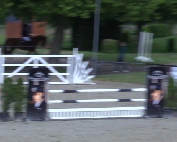 Reitturnier Hamm-Rhynern 2025