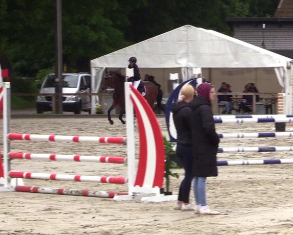 Reitturnier Kropp 2025