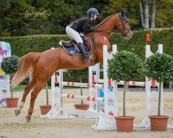 Springpferd Kamaro de La Toire CH (Schweizer Warmblut, 2007)