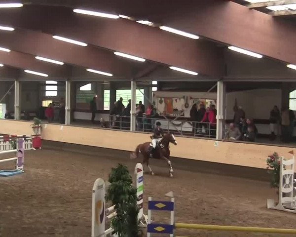 Alt Marl - Hallen-Late-Entry 2014