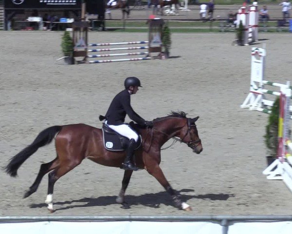 Reitturnier Hamm-Rhynern 2025