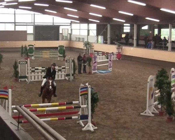 Alt Marl - Hallen-Late-Entry 2014