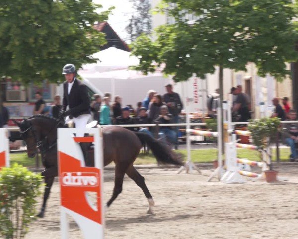 Reitturnier Kitzscher / Reitanlage Heuter 2025