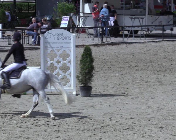 Reitturnier Hamm-Rhynern 2025