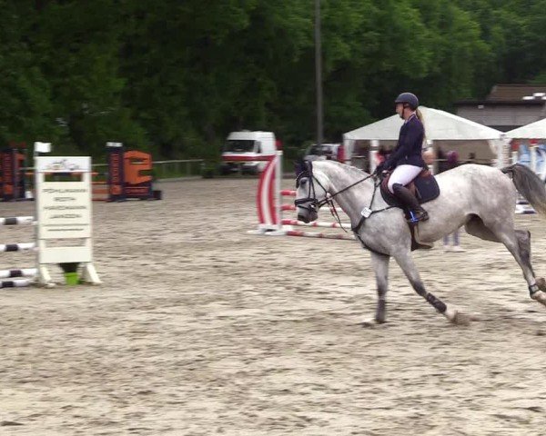Reitturnier Kropp 2025