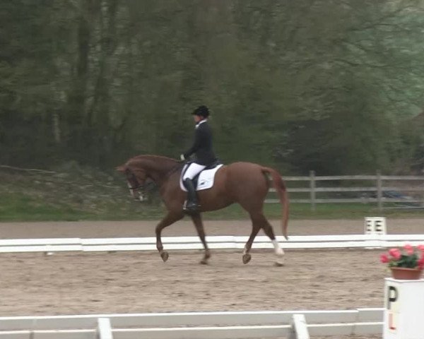 Balve-Wocklum Regio 2014