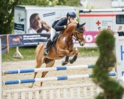 Springpferd Minnie (Deutsches Reitpony, 2018, von Herzkönig NRW)