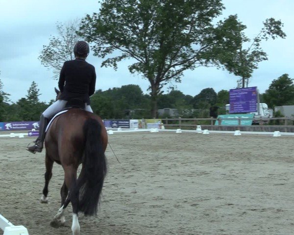 Reitturnier Scharnebeck 2025