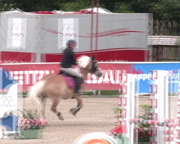 Reitturnier Lassee 2025