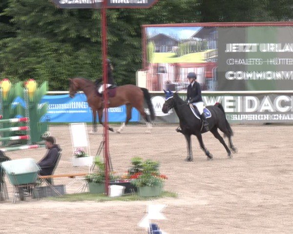 Reitturnier Lassee 2025