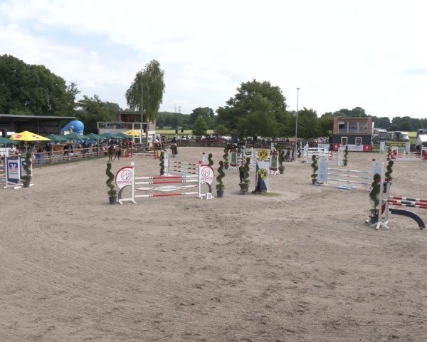 Reitturnier Kirchhellen/Stall Dieckmann 2025