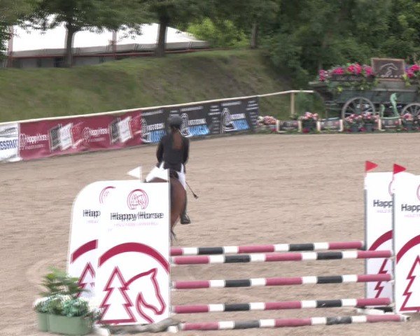 Reitturnier Lassee 2025