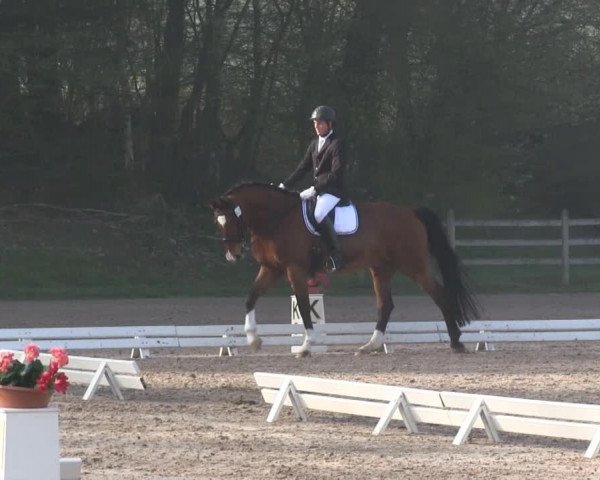 Balve-Wocklum Regio 2014