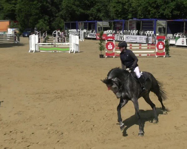 Reitturnier Hellefeld 2025