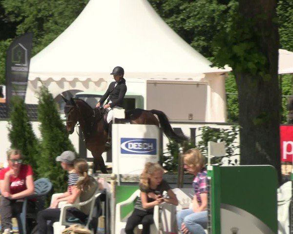 Reitturnier Hellefeld 2025