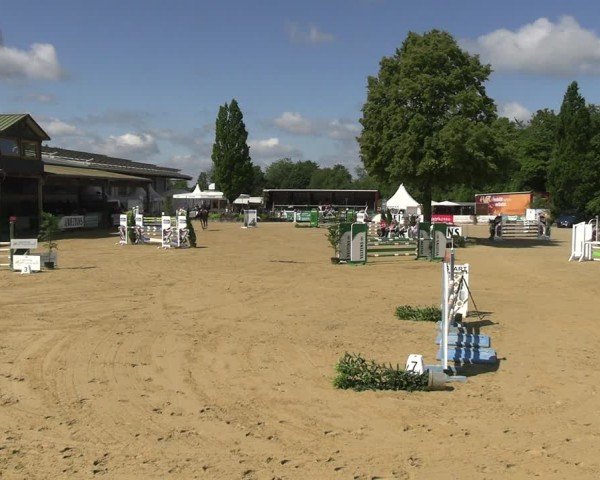 Reitturnier Hellefeld 2025