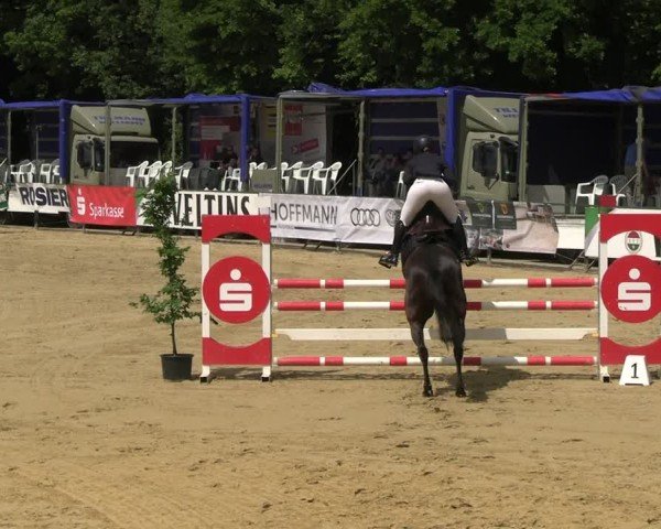 Reitturnier Hellefeld 2025