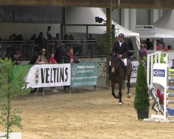 Reitturnier Hellefeld 2025