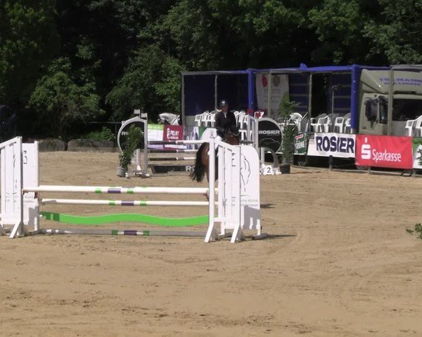 Reitturnier Hellefeld 2025