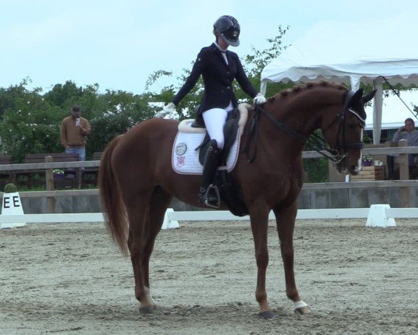 Reitturnier Scharnebeck 2025
