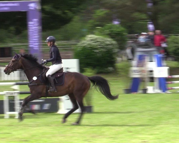 Reitturnier Scharnebeck 2025