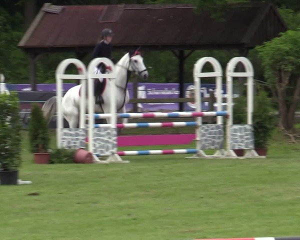 Reitturnier Scharnebeck 2025