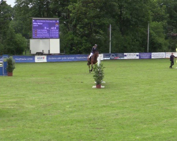 Reitturnier Scharnebeck 2025