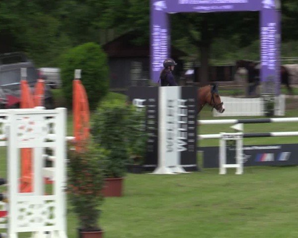 Reitturnier Scharnebeck 2025