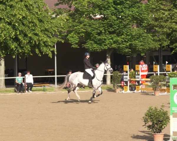Reitturnier Kitzscher / Reitanlage Heuter 2025