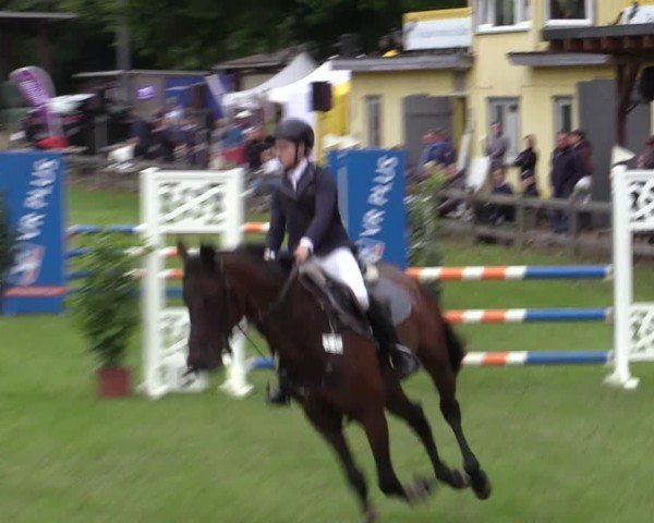 Reitturnier Scharnebeck 2025