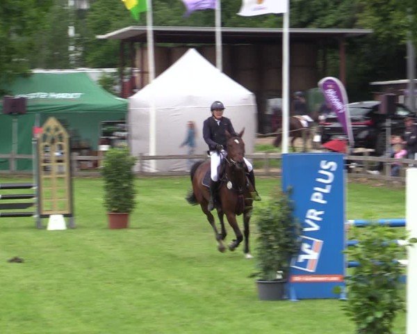 Reitturnier Scharnebeck 2025
