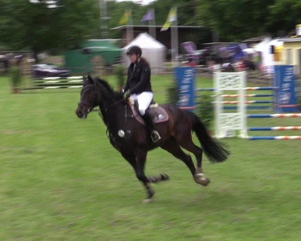 Reitturnier Scharnebeck 2025