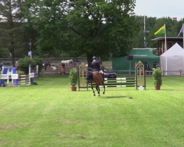 Reitturnier Scharnebeck 2025