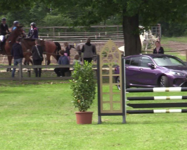 Reitturnier Scharnebeck 2025