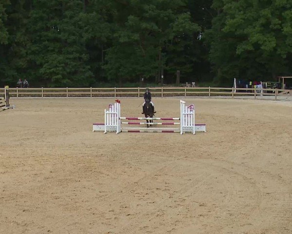 Reitturnier Tiefenhof/Opf. 2025