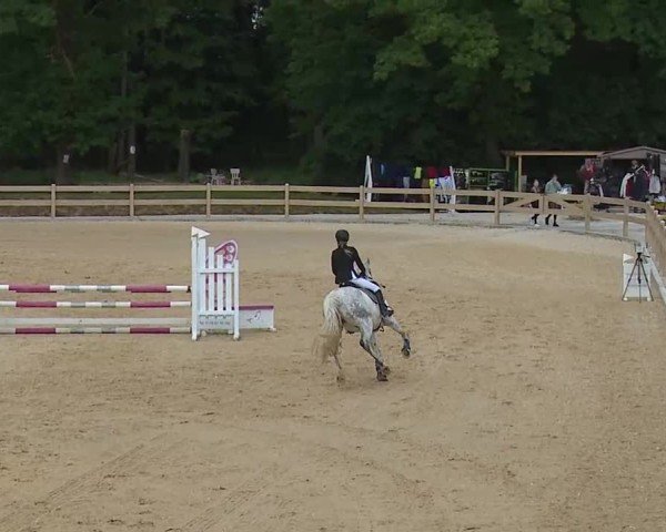 Reitturnier Tiefenhof/Opf. 2025