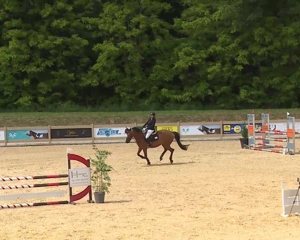 Reitturnier Tiefenhof/Opf. 2025